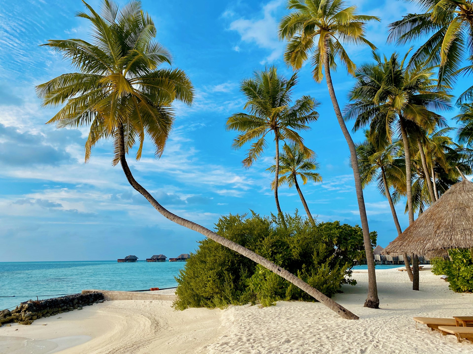 Tropical Barbados bay