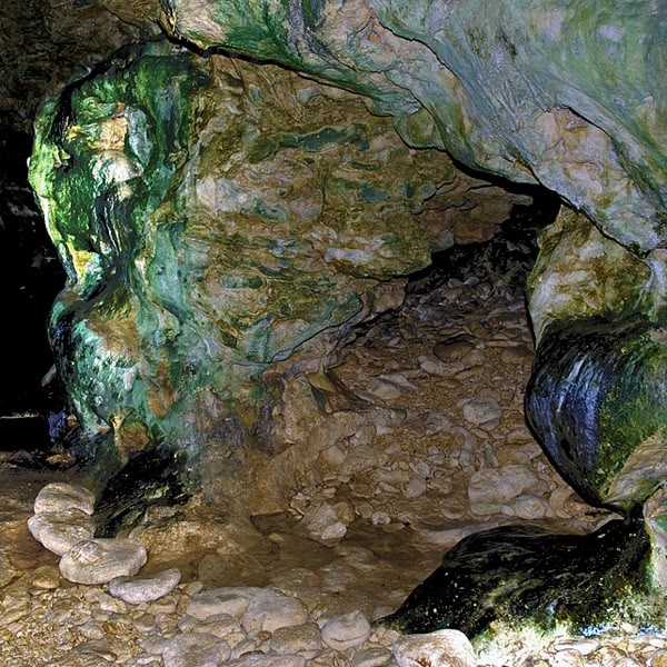 Animal Flower Cave