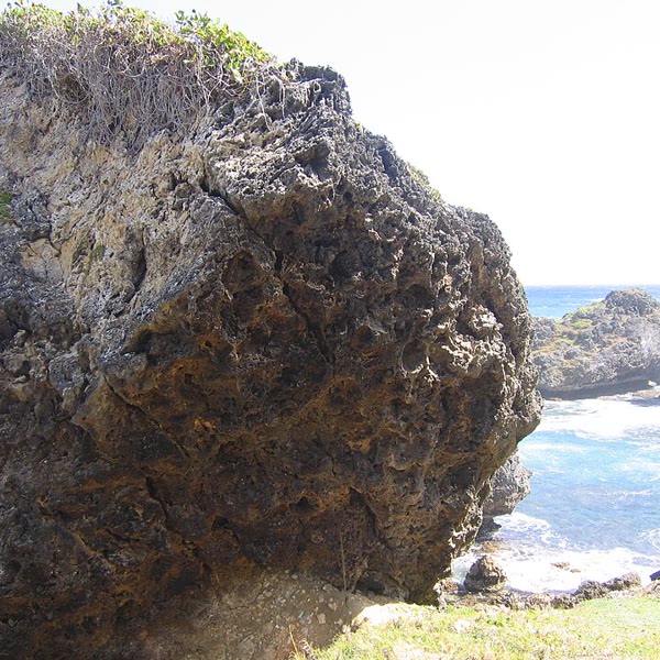 Bathsheba / Soup Bowl